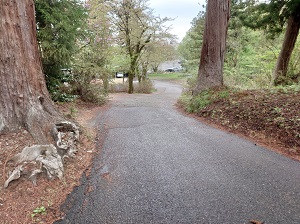 蒼紫神社坂道