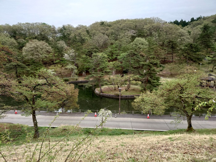 悠久山公園の池